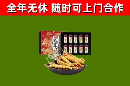 姚安回收冬虫夏草价格