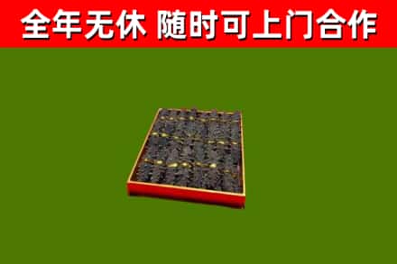 姚安回收海参